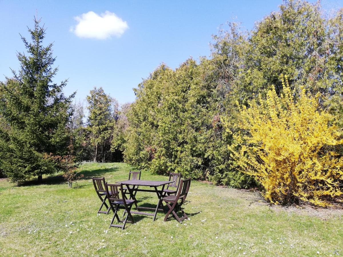 Kirschbluetenappartements Breitenbrunn am Neusiedler See